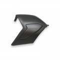 CNC Racing Carbon Fiber Swingarm Cover for Ducati Panigale V4 / S / R / Speciale CNC Racing Carbon Fiber Swingarm Cover for Ducati Panigale V4 / S / R / Speciale